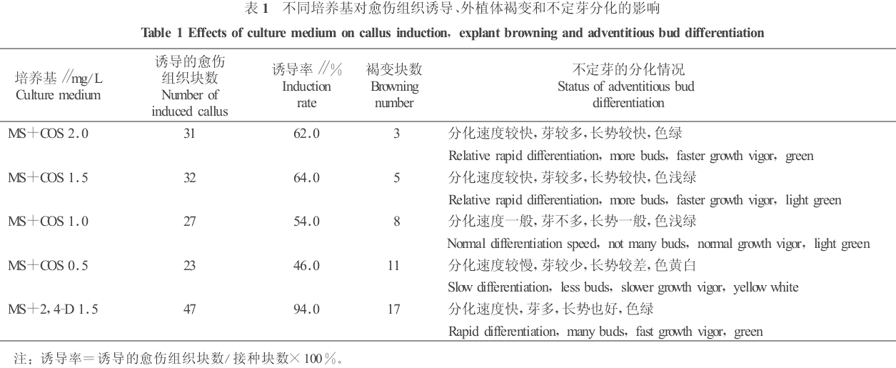 壳寡糖对秋海棠叶片离体培养的影响(图1)