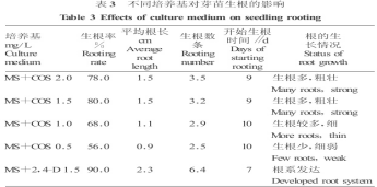 壳寡糖对秋海棠叶片离体培养的影响(图3)