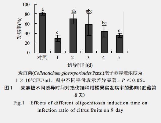 壳寡糖诱导柑橘果实抗病作用中的活性氧变化(图1)