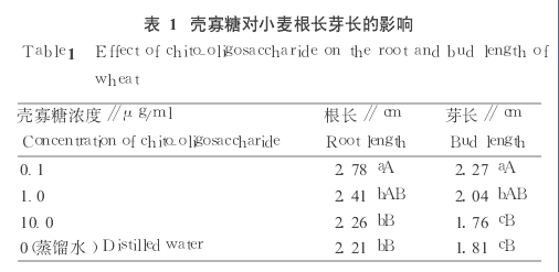 小麦1.png