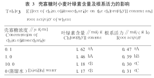 小麦2.png